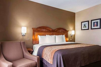 کوالیتی این اند سویتز ای-35 / والنوت هیل