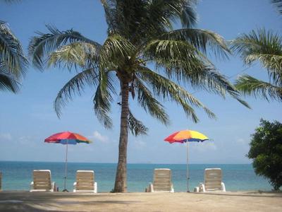 ناتورال وینگ هیلد اسپا اند ریزرت