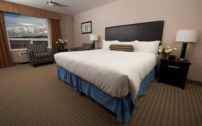 استونی ناکدا ریزرت اند کاسینو