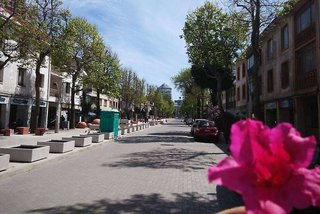 وایندهام گاردن کنسپشنن