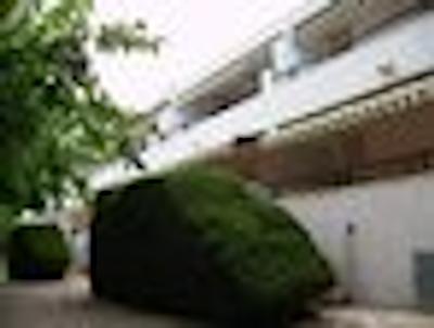 فلیکس اپارتمنتز