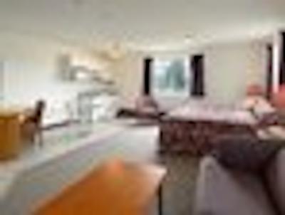 رامادا لیمیتد فرت نلسُن