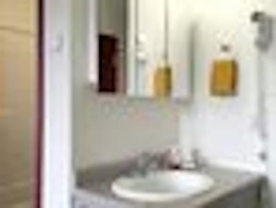 رامادا لیمیتد فرت نلسُن