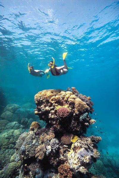 دوبلتری بای هیلتون هتل کیرنز