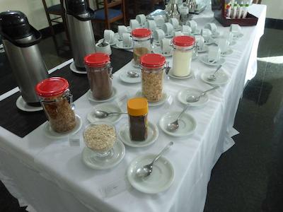 رد روف این ناتال