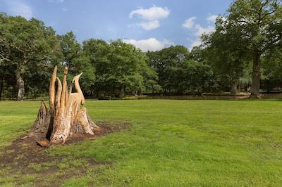 لری دز چنس د اُریجینالز رلیز