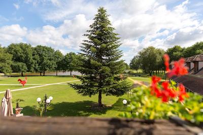 لری دز چنس د اُریجینالز رلیز