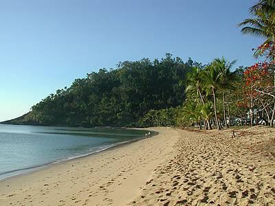 اسیا چانج بیچفرنت