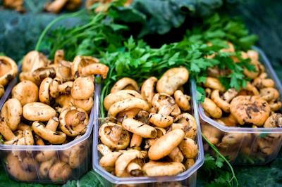 1ک هتل پاریز