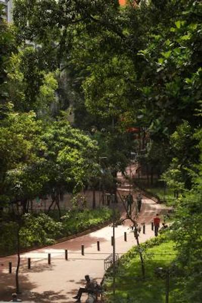 بولوارد این ساو پاولو