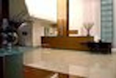 پرمناد پلاتینوم