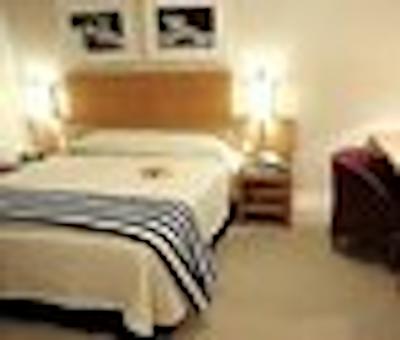 پرمناد پلاتینوم