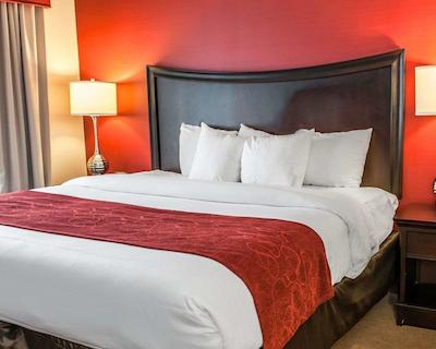 هلید این ایندیاناپلیز دونتون