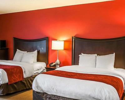 هلید این ایندیاناپلیز دونتون