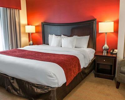 هلید این ایندیاناپلیز دونتون