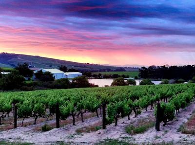 لاونیر کونتری لج اند وین استات