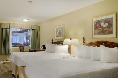 دز این ورنن