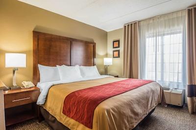 کمفرت این اند سویتز هامیلتون پلاس