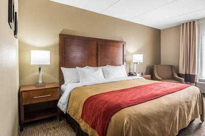 کمفرت این اند سویتز هامیلتون پلاس