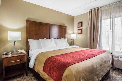 کمفرت این اند سویتز هامیلتون پلاس