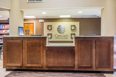 کمفرت این اند سویتز هامیلتون پلاس