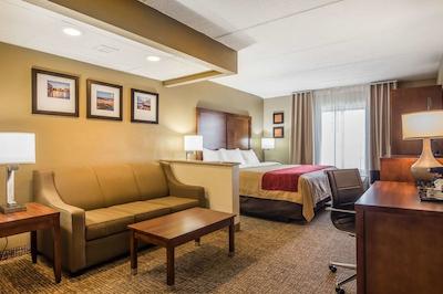 کمفرت این اند سویتز هامیلتون پلاس