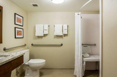 کمفرت این اند سویتز هامیلتون پلاس