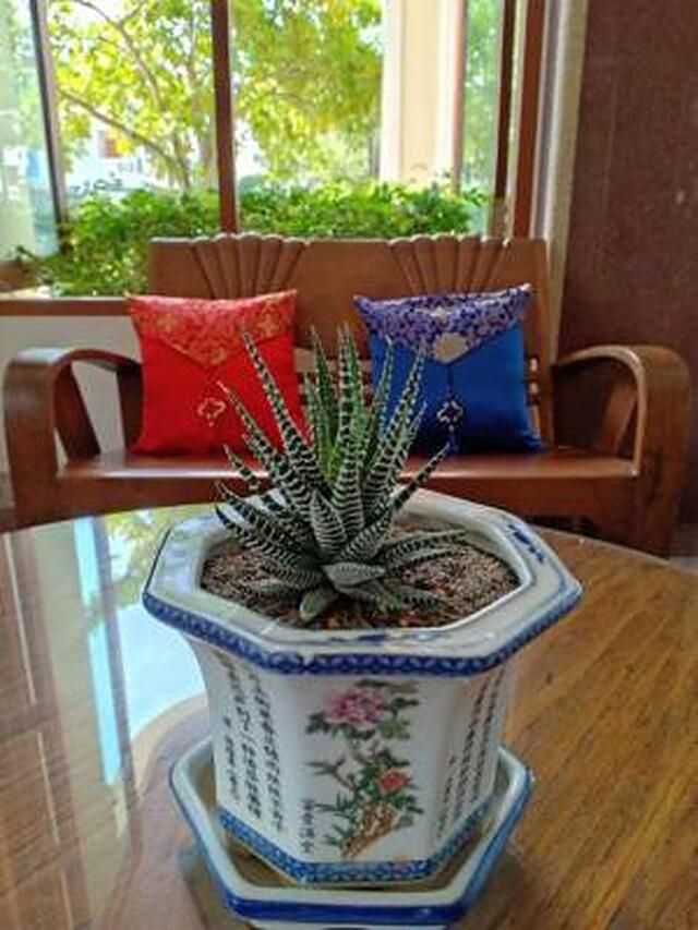 می ژو پوکت