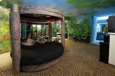 امریکاز بست والو پلاتینوم این اند سویتز