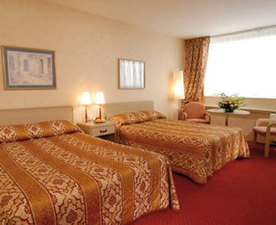 مرکور استراسبورگ پالیز دز کنگرز