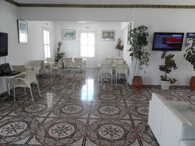 ادنا پالاس