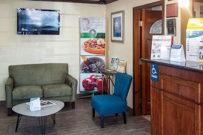 کوالیتی این ای-5 ناوال باس