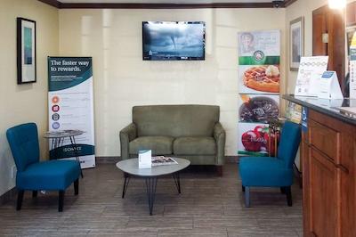 کوالیتی این ای-5 ناوال باس