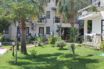 ماوی بلس