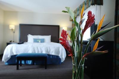 هامپتون این اند سویتز ناشویل-دونتون