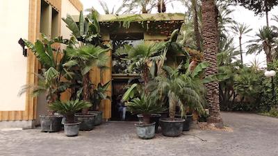 هورتو دل کورا