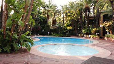 هورتو دل کورا