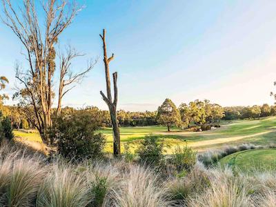 د سبل کرسویک فرست ریزرت