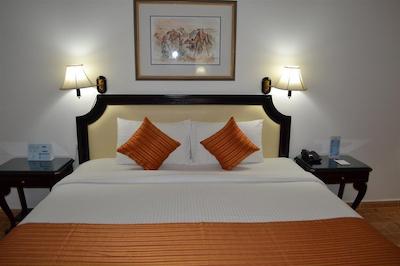 تولیپ این ال راهبا