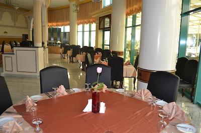 تولیپ این ال راهبا