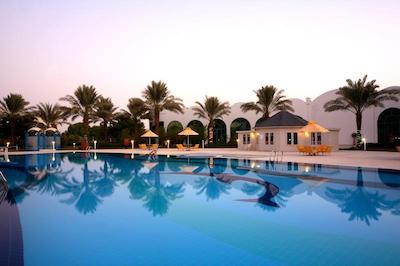 تولیپ این ال راهبا