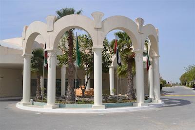 تولیپ این ال راهبا