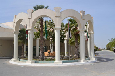 تولیپ این ال راهبا
