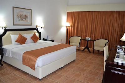 تولیپ این ال راهبا