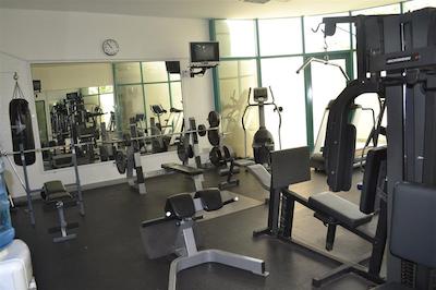 تولیپ این ال راهبا