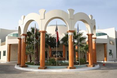 تولیپ این ال راهبا