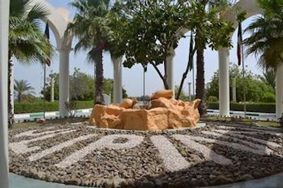 تولیپ این ال راهبا