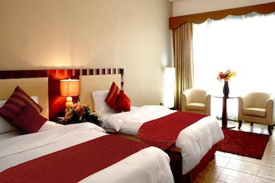 تولیپ این ال راهبا