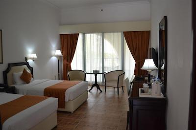 تولیپ این ال راهبا