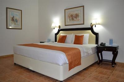 تولیپ این ال راهبا